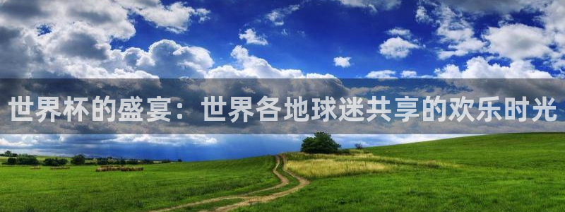 世界杯球队：世界杯的盛宴：世界各地球迷共享的欢乐时光