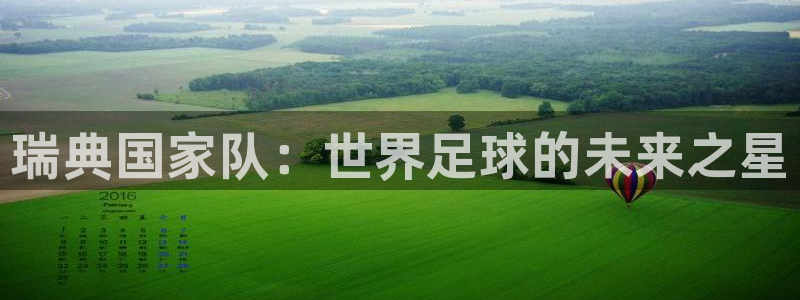 欧洲世界杯预选赛赛程：瑞典国家队：世界足球的未来之星