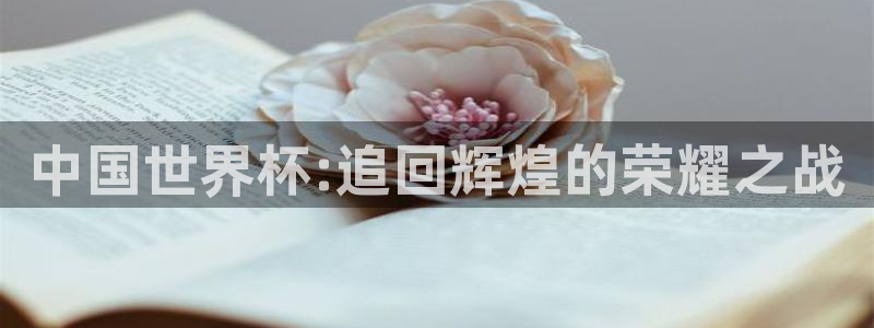 世界杯小组赛赛程：中国世界杯:追回辉煌的荣耀之战