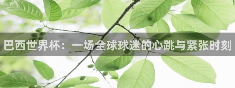 世界杯预选赛欧洲赛区积分榜：巴西世界杯：一场全球球迷的心跳与紧张时刻