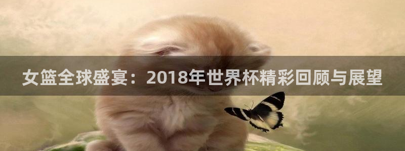 世界杯直播平台：女篮全球盛宴：2018年世界杯精彩回顾与展望