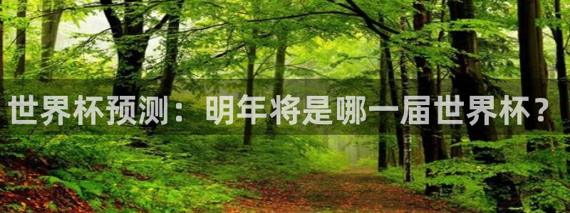 足球世界杯2026年赛程时间表：世界杯预测：明年将是哪一届世界杯？