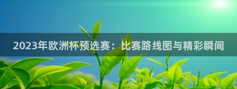 女足世界杯直播：2023年欧洲杯预选赛：比赛路线图与精彩瞬间