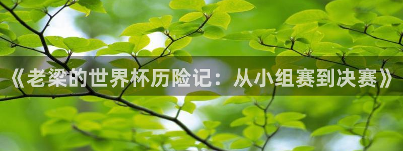 26世界杯：《老梁的世界杯历险记：从小组赛到决赛》