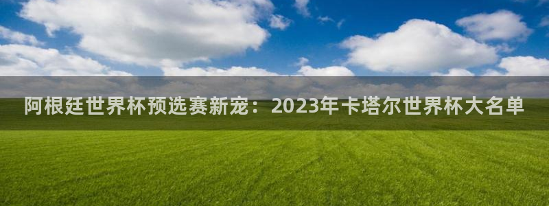 世界杯 直播：阿根廷世界杯预选赛新宠：2023年卡塔尔世界杯大名单