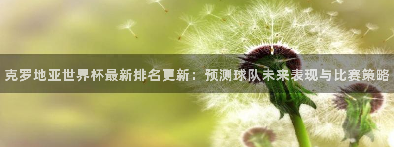 2026足球世界杯：克罗地亚世界杯最新排名更新：预测球队未来表现与比赛策略