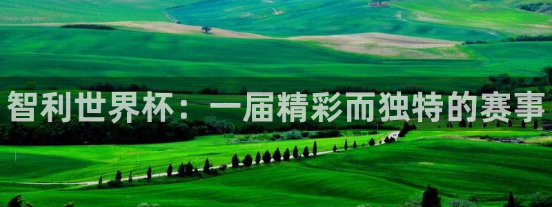 2006年世界杯冠军：智利世界杯：一届精彩而独特的赛事