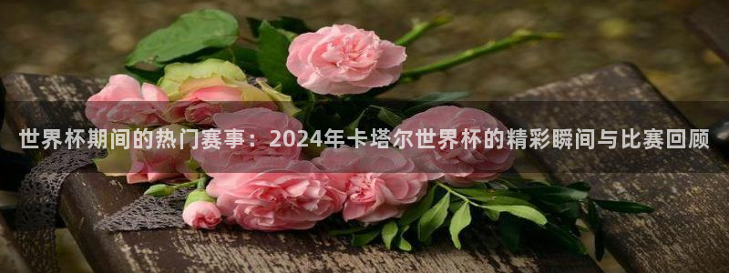 世界杯球赛：世界杯期间的热门赛事：2024年卡塔尔世界杯的精彩瞬间与比赛回顾